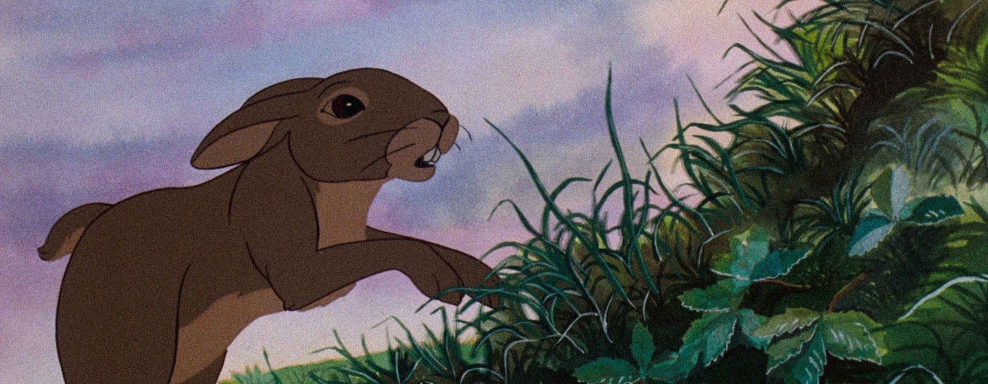 Watership Down
