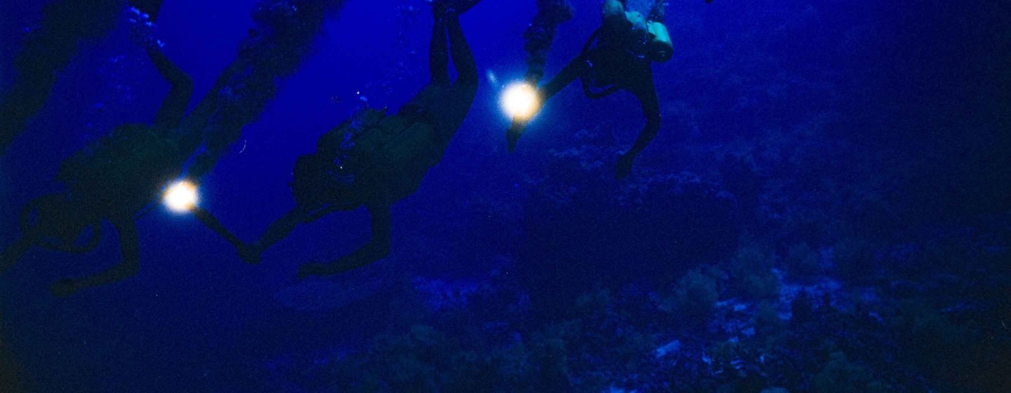 Becoming Cousteau