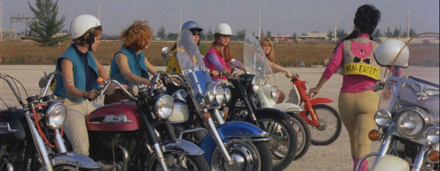 She-Devils on Wheels