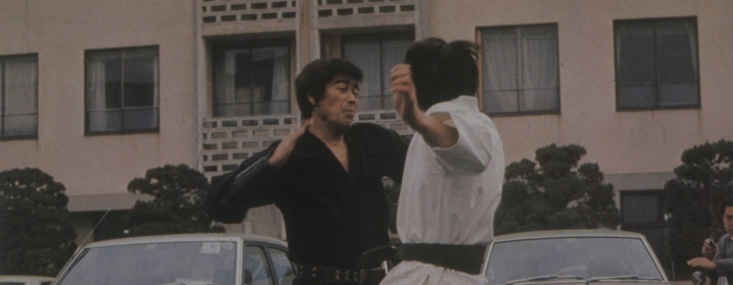 Streetfighter’s Last Revenge, The