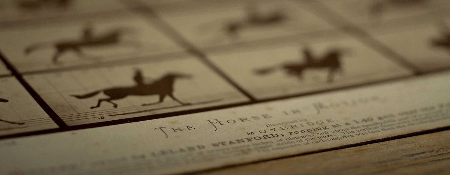 Exposing Muybridge